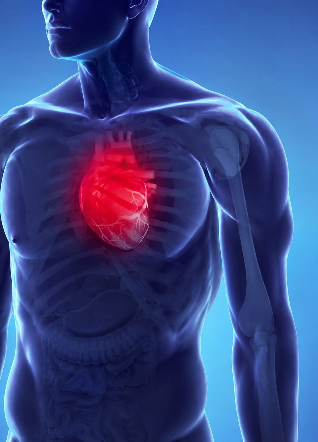 Cardiologie interventionnelle